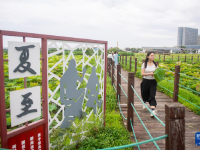 浙江宁波：夏日赏荷正当时
