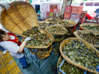 传统民俗迎端午
