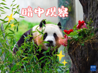 “福宝”，暖宝