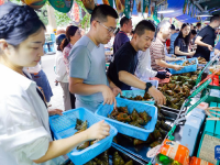 传统民俗迎端午
