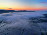 雾笼“水乡” “粮仓”如画
