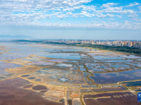 盐湖“变身” 山明水秀