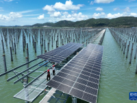 福建：海上光伏电站建设忙
