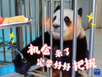 “福宝”，暖宝