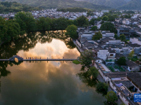 夏日乡村美景引游人
