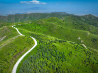 绿染南华山
