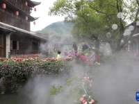 夏日乡村美景引游人

