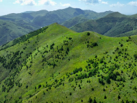绿染南华山
