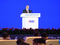 2024全球数字经济大会开幕
