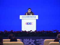 2024全球数字经济大会开幕
