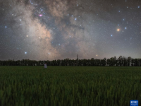 “北大仓”：田野“约会”浪漫星空
