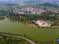 湿地生态美
