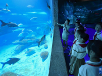 浙江绍兴：浙东淡水鱼馆开馆
