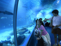 浙江绍兴：浙东淡水鱼馆开馆
