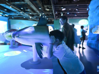 浙江绍兴：浙东淡水鱼馆开馆

