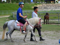 广西德保：古老矮马助推现代旅游业
