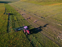 锡林郭勒草原进入打草季
