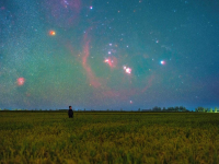 丰收田野“约会”浪漫星空
