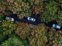 秋景如画
