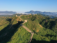 秋景如画
