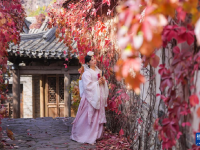 北京古北水镇秋色
