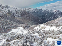 雪落官鹅沟
