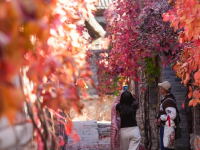 北京古北水镇秋色
