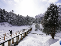 雪落官鹅沟
