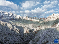 雪落官鹅沟
