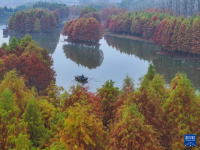 江苏盱眙：山水冬韵
