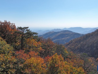 漫山秋叶 层林尽染

