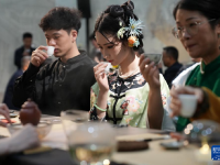 杭州：茶博会 品茶香

