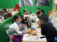 杭州：茶博会 品茶香
