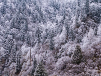 官鹅沟雪后美如画
