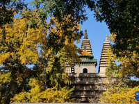 五塔寺之秋
