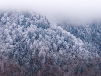 官鹅沟雪后美如画
