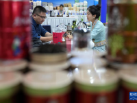 杭州：茶博会 品茶香
