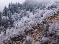 官鹅沟雪后美如画
