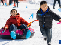 湖北秭归：乐享冰雪
