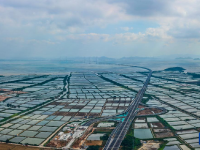广东：黄茅海跨海通道台山段静待通车
