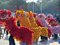 广西梧州：醒狮舞校园
