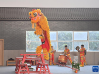 广西梧州：醒狮舞校园
