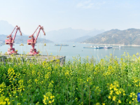 峡江春来早

