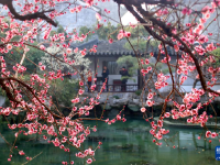花开春意浓
