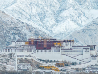 拉萨降雪
