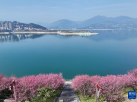 峡江春来早
