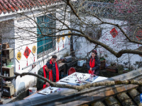 五彩梅园开启春季乡村旅游季
