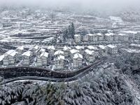 白雪却嫌春色晚
