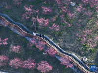 峡江春来早
