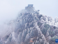 白雪却嫌春色晚
